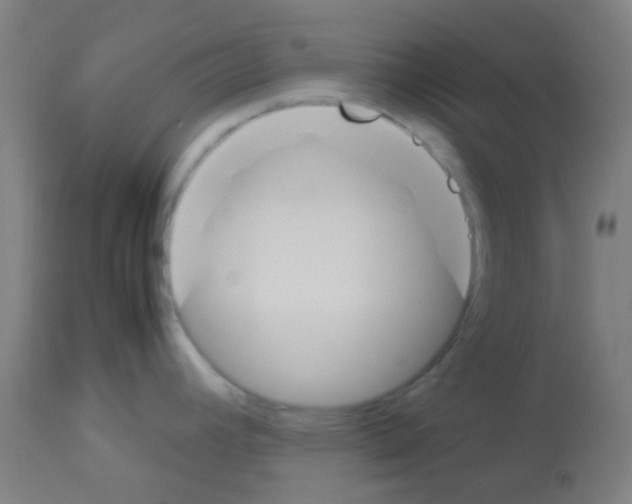 X0000113171392200910161257