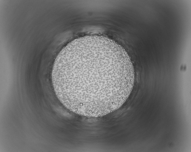 X0000113171393200910161256
