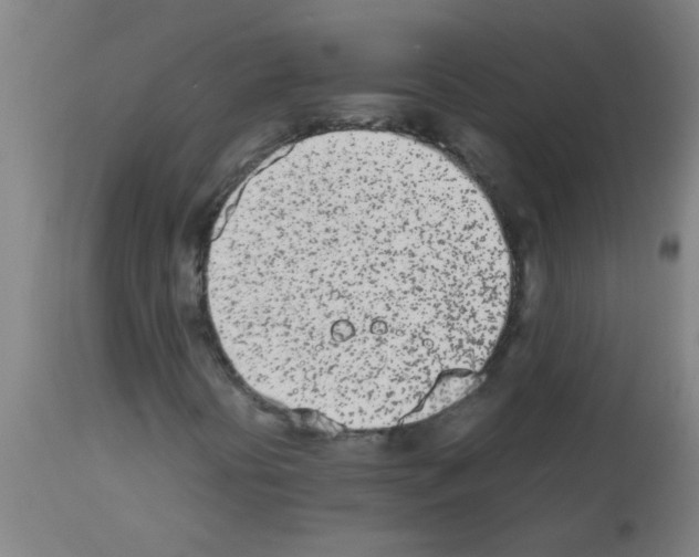 X0000113171394200910161256