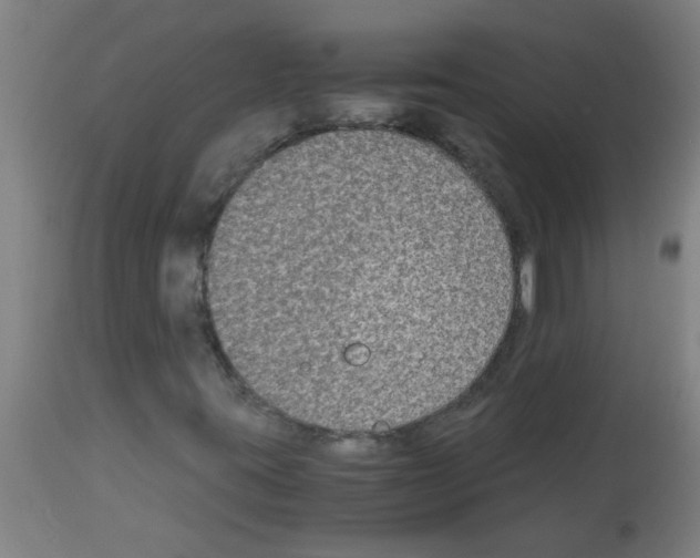 X0000113171395200910161256