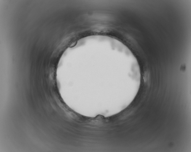 X0000113171396200910161256