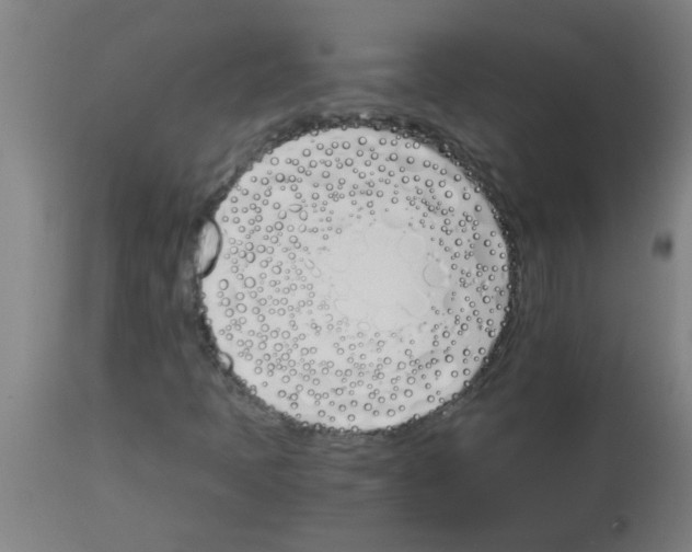 X0000113171397200910161256