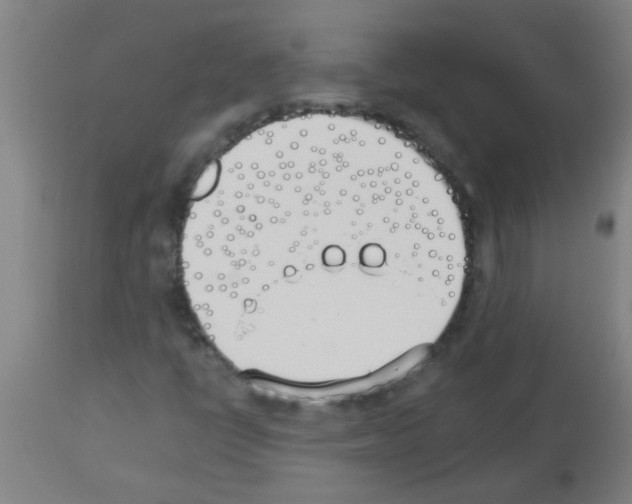 X0000113171398200910161256