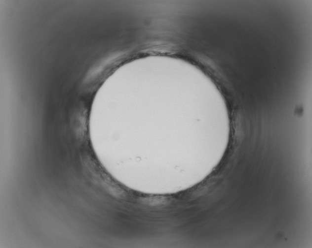 X0000113171399200910161256