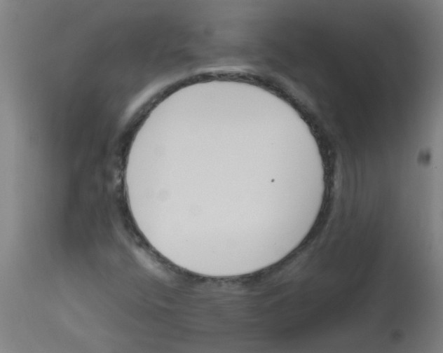 X0000113171400200910161256