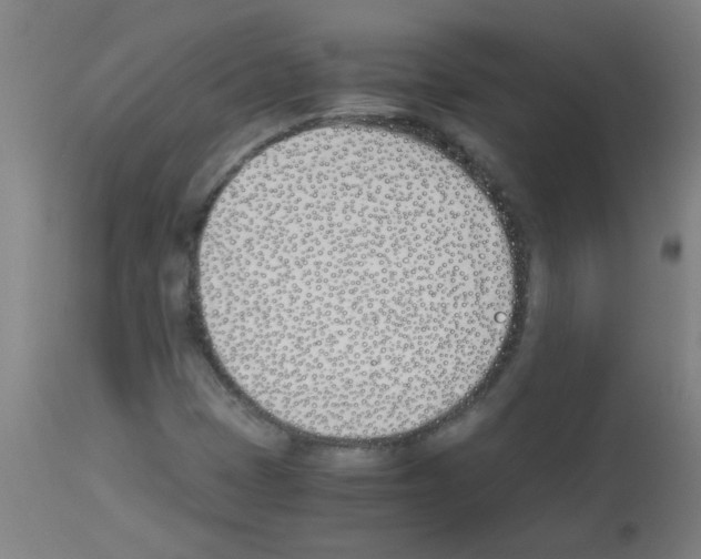 X0000113171401200910161256