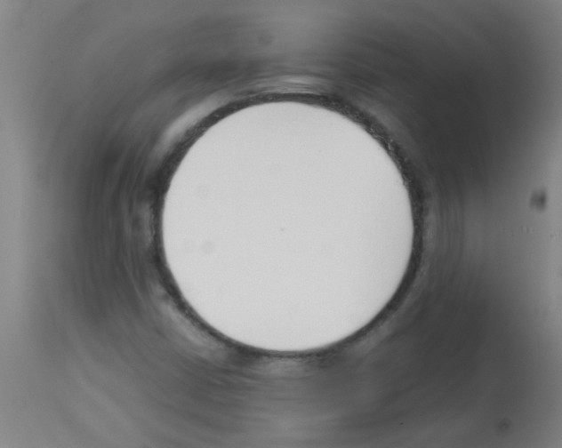 X0000113171402200910161256