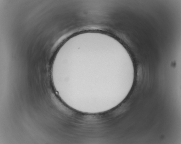 X0000113171404200910161256