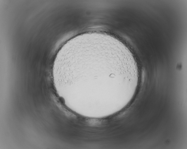 X0000113171405200910161256