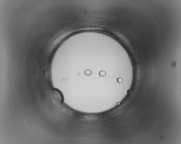 X0000113171407200910161256