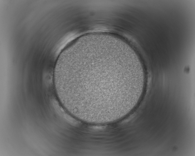 X0000113171409200910161256