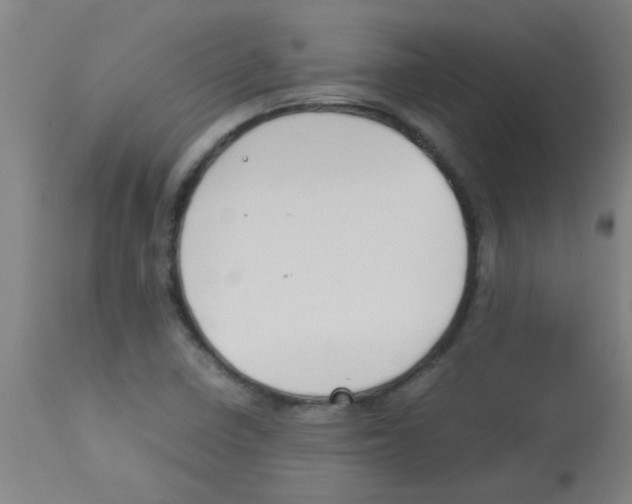 X0000113171410200910161257