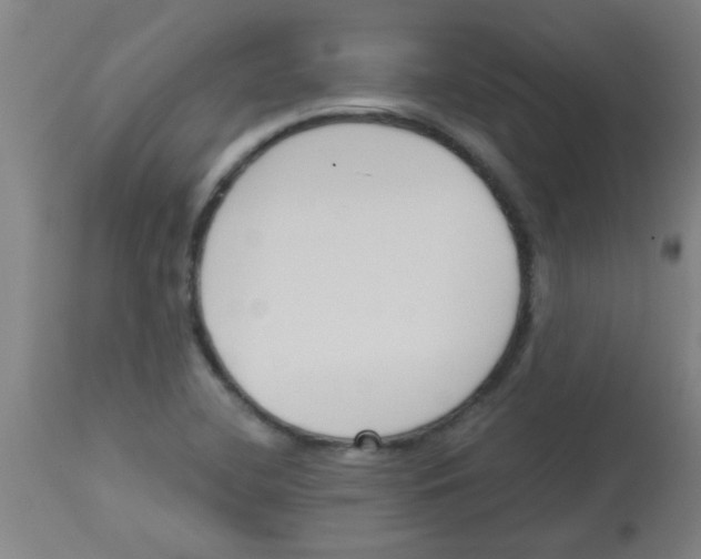 X0000113171412200910161257