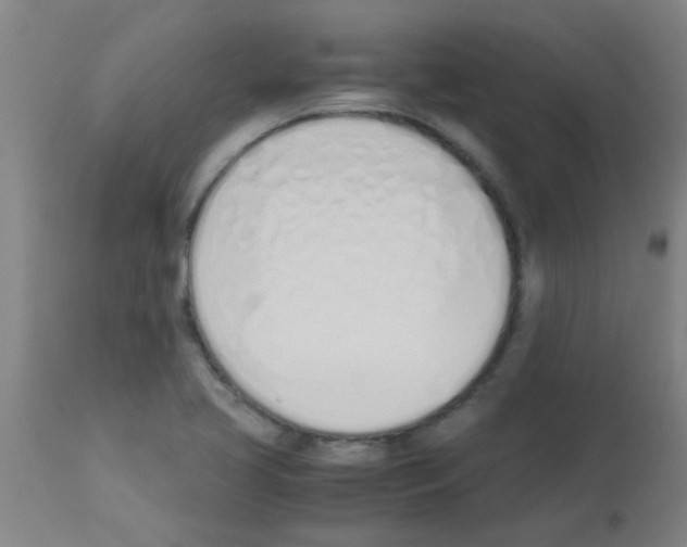 X0000113171413200910161257