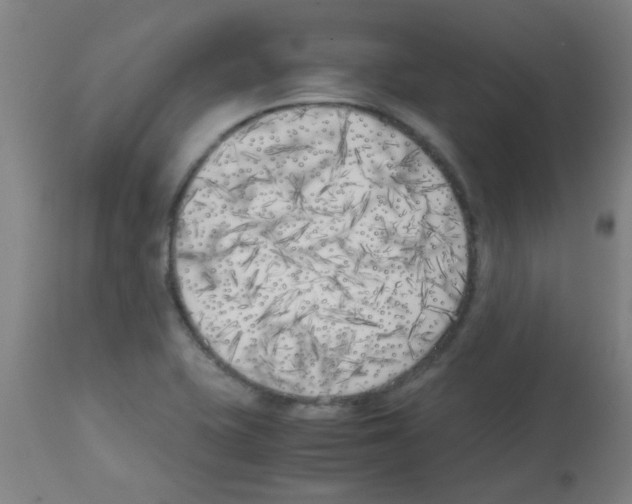 X0000113171415200910161257