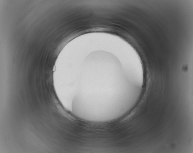 X0000113171417200910161257