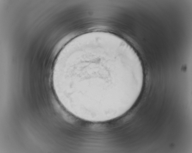 X0000113171418200910161257