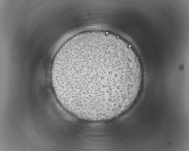 X0000113171421200910161257