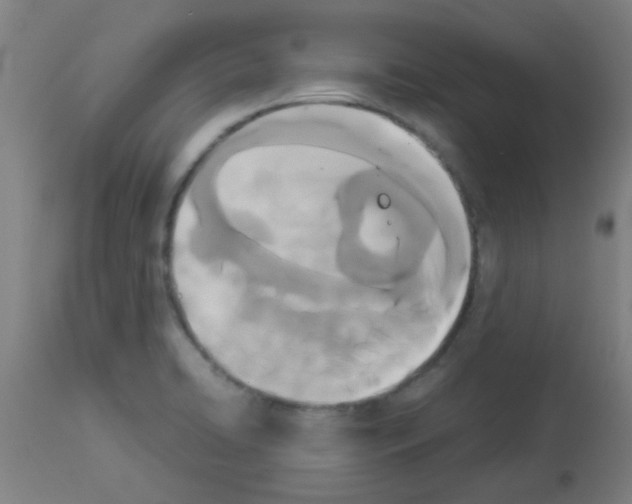 X0000113171422200910161257