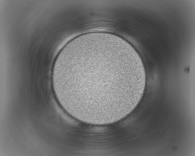 X0000113171423200910161257