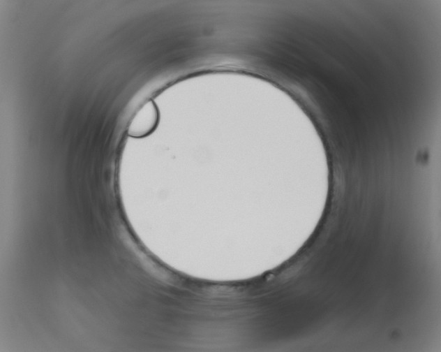 X0000113171424200910161257