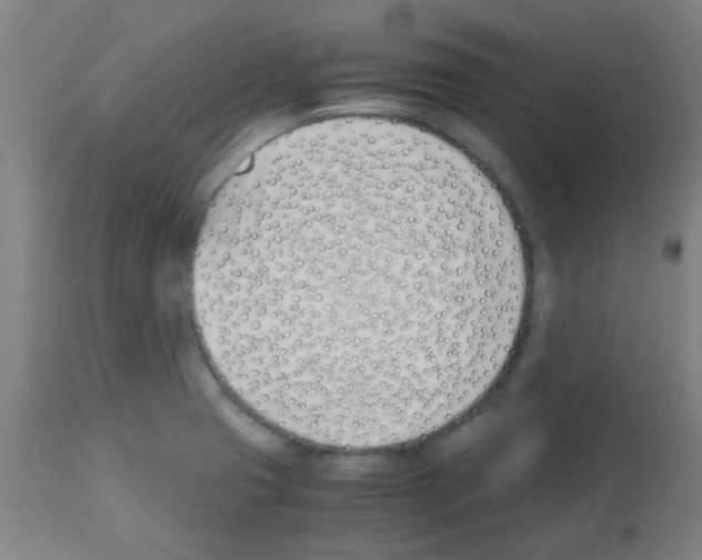 X0000113171425200910161257