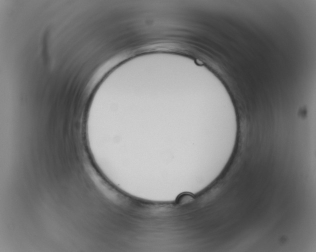 X0000113171426200910161257