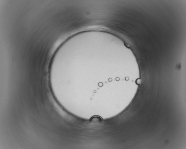 X0000113171430200910161257