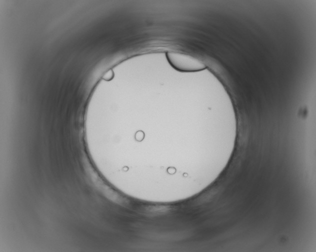X0000113171431200910161257