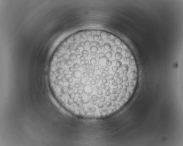 X0000113171432200910161257