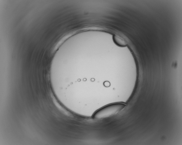 X0000113171433200910161257