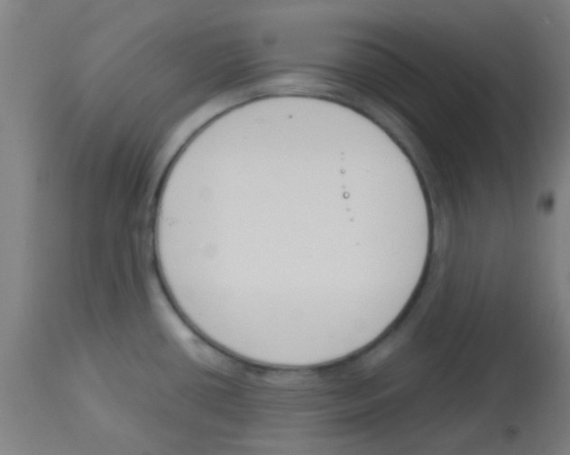 X0000113171434200910161257