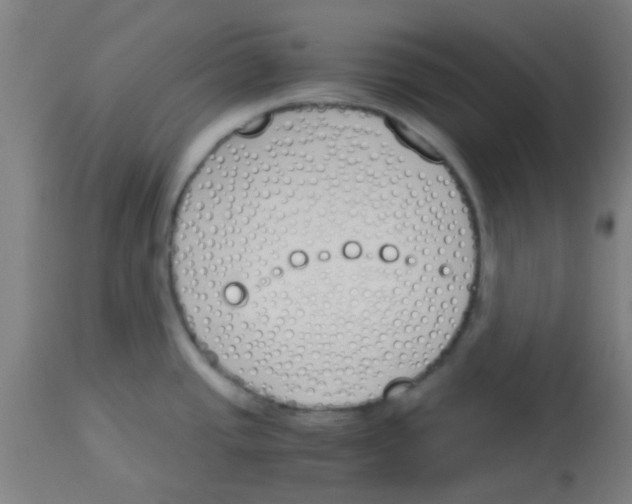 X0000113171437200910161257