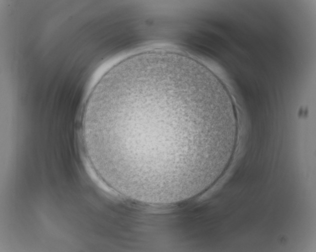 X0000113171440200910161257