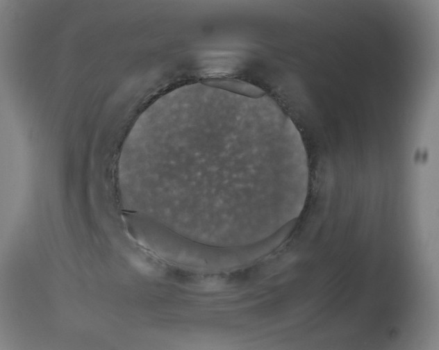 X0000113171441200910161256