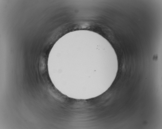 X0000113171442200910161256