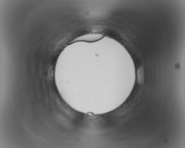 X0000113171443200910161256