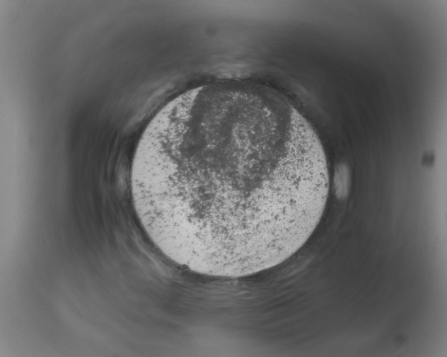 X0000113171444200910161256