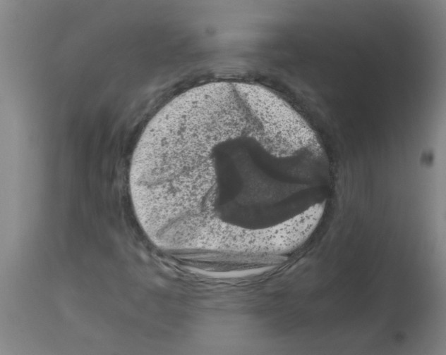 X0000113171445200910161256