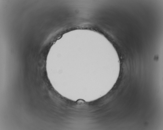 X0000113171447200910161256