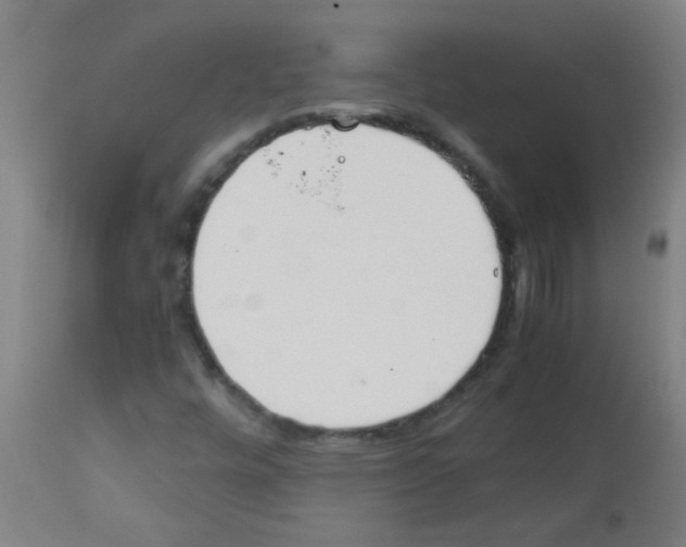 X0000113171448200910161256