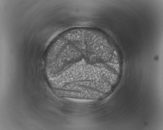 X0000113171449200910161256