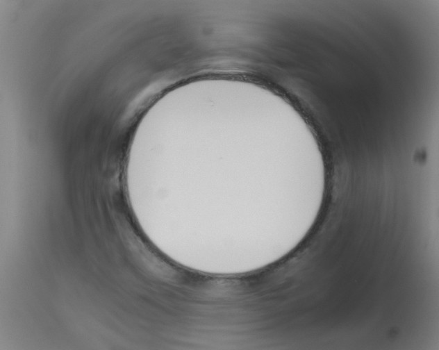 X0000113171451200910161256