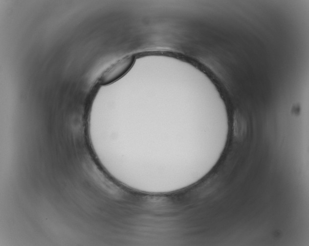 X0000113171452200910161256