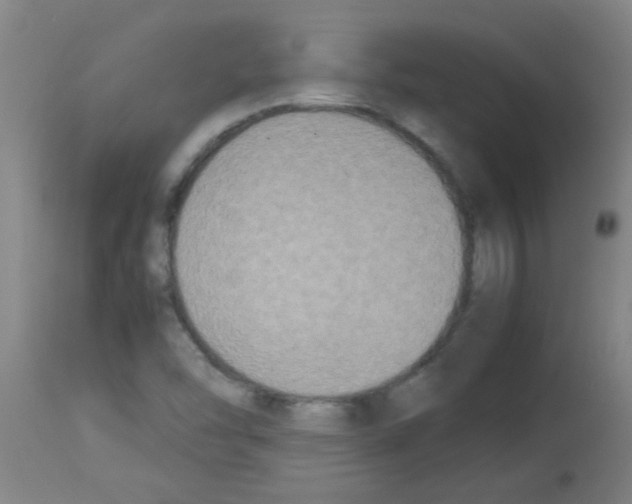 X0000113171454200910161256