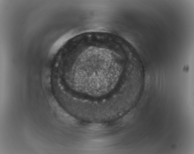 X0000113171455200910161256