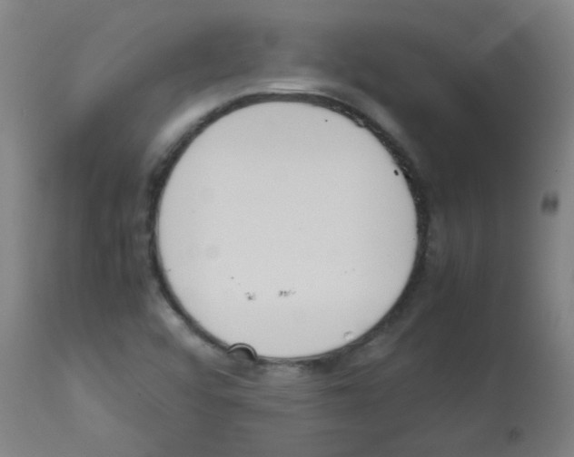 X0000113171456200910161256