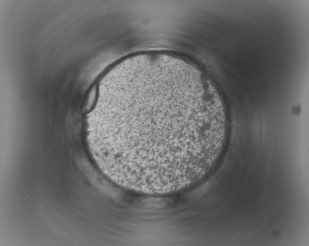X0000113171457200910161256