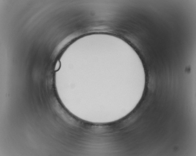 X0000113171458200910161256