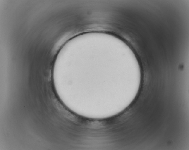 X0000113171459200910161256